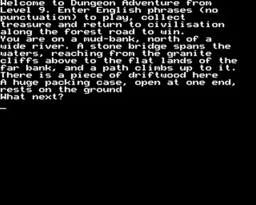 Dungeon Adventure (19xx)(Level 9)[DUN-ADV] screen shot game playing